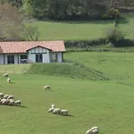 Lur-xuri-bidean Louhossoa