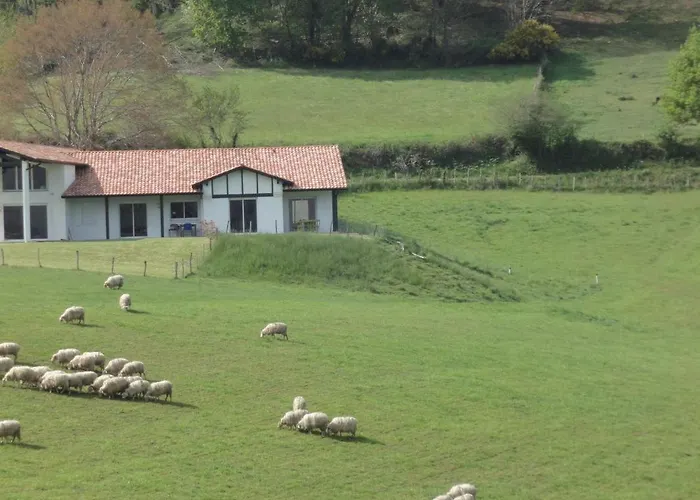 Lur-xuri-bidean Louhossoa